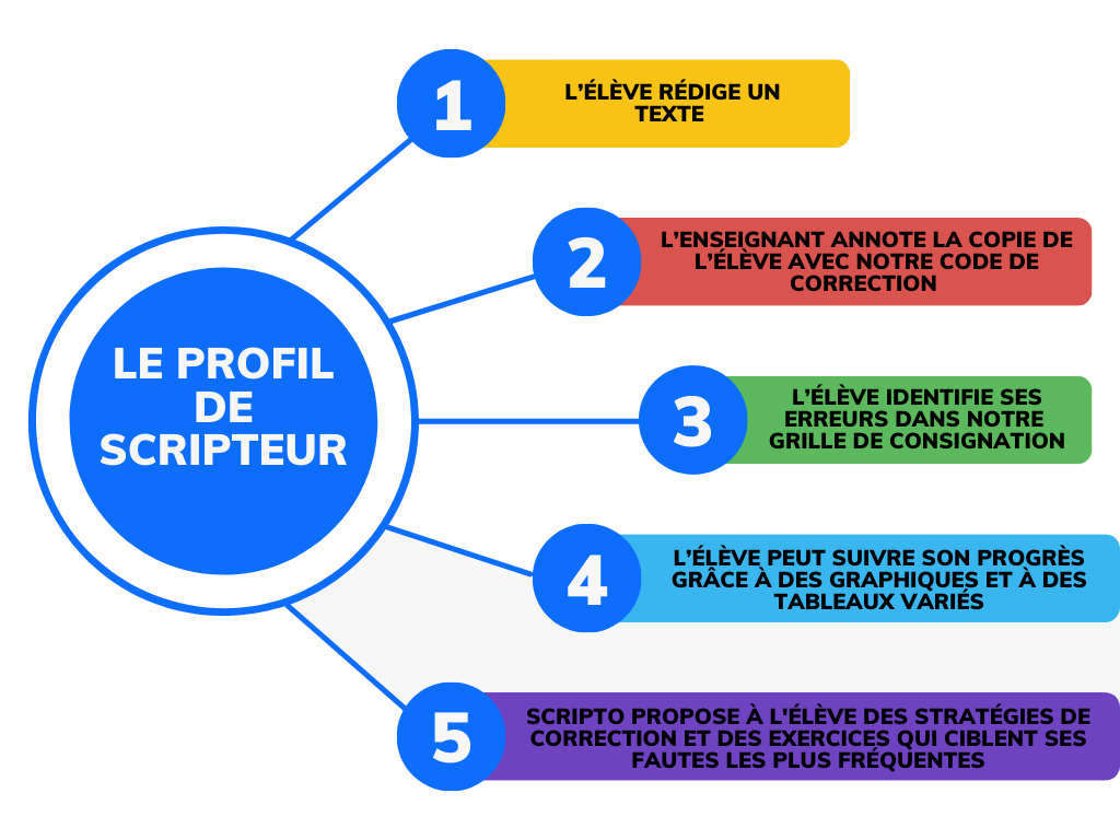 Diagramme illustrant le profil de scripteur dans Scripto